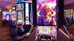 336bet